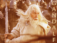 The specter of the crusading warrior monk 
is now well established in the culture
through the popular Tolkien trilogy